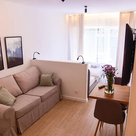 Turystyczna 25 Blisko Centrum, Z Dodatkowym Bezplatnym Parkingiem W Centrum Miasta Bad Kudowa