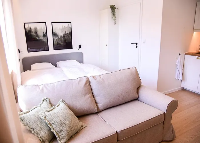 Apart-hotel Turystyczna 25 Blisko Centrum, Z Dodatkowym Bezplatnym Parkingiem W Centrum Miasta 3*