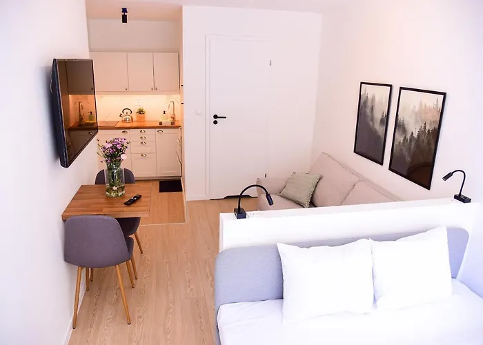 Turystyczna 25 Blisko Centrum, Z Dodatkowym Bezplatnym Parkingiem W Centrum Miasta